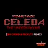 The Underground (Dim Chord & Reckutt Remix) [feat. Celeda] - Single album lyrics, reviews, download
