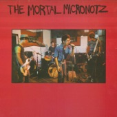 The Mortal Micronotz - The Police Song