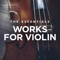 Violin Concerto in D Minor, MWV O3: I. Allegro - Tamsin Waley-Cohen, Orchestra of the Swan & David Curtis lyrics