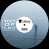 Stream & download Way of Life - Single