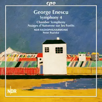 Chamber Symphony in E Major, Op. 33: II. Allegretto molto moderato by Christoph Renz, Roberto Baltar, Mirjam Budday, Ulf-Guido Schafer, Malte Refardt, Daniel Adam, Fabian Neuhaus, Kathrin Rabus, Anna Lewis, Nikolai Schneider, Jürgen Normann, Markus Becker & Peter Ruzicka song reviws