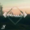 Pillowtalk (feat. Future Sunsets) - Single album lyrics, reviews, download