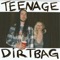 Teenage Dirtbag - Walk Off the Earth lyrics
