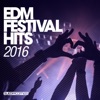 EDM Festival Hits 2016