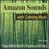Amazon Sounds with Calming Music: Amazon Rainforest Sounds for Relaxation and Self Healing artwork