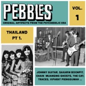 Pebbles, Vol. 1 - Thailand, Pt. 1 (Originals Artifacts from the Psychedelic Era) artwork