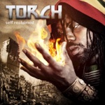 Torch - Lion