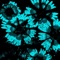 Sonder - Infinite Circuit lyrics