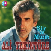 Yaktın mı artwork