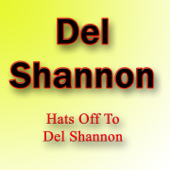 Hats Off to Del Shannon - Del Shannon