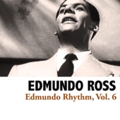 Edmundo Rhythm, Vol. 6 artwork