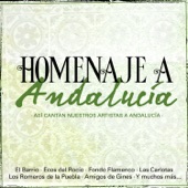 Himno de Andalucía artwork