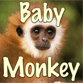 Baby Monkey (from the Lego Movie) artwork