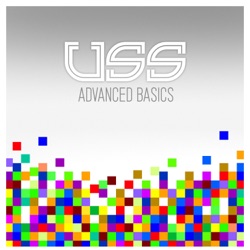 USS (Ubiquitous Synergy Seeker) - N/A OK (Grade of This Collapse)