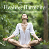 Healing Harmony (Wonderful Music for Relexation and Recreation) - Oliver Scheffner