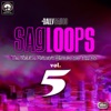 Sagloops Volume 5 - The Ultimate Bhangra Shouts For the DJ