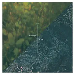 The KVB / Flaamingos - EP by The KVB & Flaamingos album reviews, ratings, credits