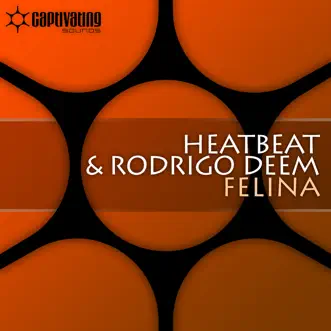 Felina by Heatbeat & Rodrigo Deem song reviws