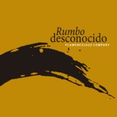 Rumbo Desconocido (Tangos) artwork