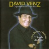 David Venz - Mi Forma De Ser