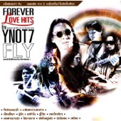 Forever Love Hits By Y Not 7 Fly artwork