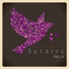 Skydive, Vol. 11