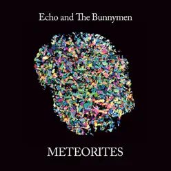 Meteorites - Echo & The Bunnymen