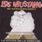 Los Dos Tan Felices - Los Mustang lyrics