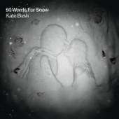 50 Words for Snow artwork