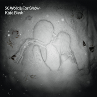 Kate Bush - 50 Words for Snow artwork