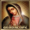 A Ti Virgencita by Miriam Solis iTunes Track 1