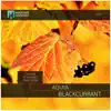 Blackcurrant - EP album lyrics, reviews, download