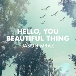 Hello, You Beautiful Thing - Single - Jason Mraz