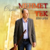 Ne Oldu artwork