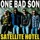 One Bad Son-Satellite Hotel