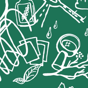 Ecologie et biodiversité : la pertinence de la notion de socio-écosystème