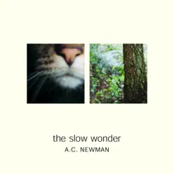 The Slow Wonder - A.c. Newman