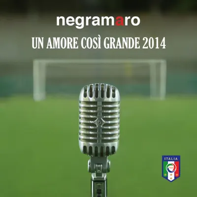 Un amore così grande 2014 - Single - Negramaro