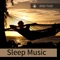 Relaxing Music - Sleep Music lyrics
