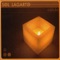 Dama De Negro - Sol Lagarto lyrics