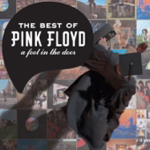 Pink Floyd - A Foot In the Door: The Best of Pink Floyd