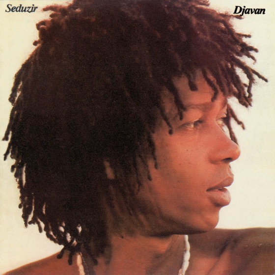 Cover artwork for Faltando Um Pedaco (Missing a Piece)