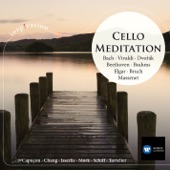 Cello Meditation artwork