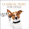 Classical Music For Dogs