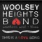 Vinyl - Woolsey Heights Band lyrics