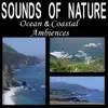 Stream & download Sounds of Nature: Ocean and Coastal Ambiences