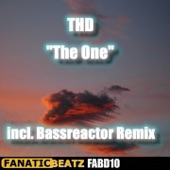 The One (DJ Xelerator Vs. THD Remix) artwork