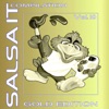 Salsa It Compilation, Vol. 10 (Gold Edition), 2013