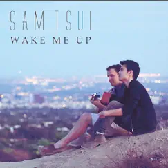 Wake Me Up (Acoustic Version) Song Lyrics