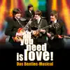 All You Need Is Love - Das Beatles Musical, Vol. 1 album lyrics, reviews, download